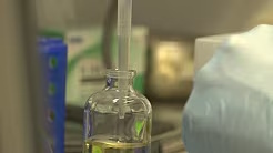 Reviving Anaerobic Fungi from a Cryo-Stock