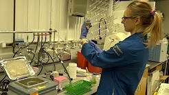 Sterile Technique and Routine Passaging of Anaerobic Fungi in the Lab