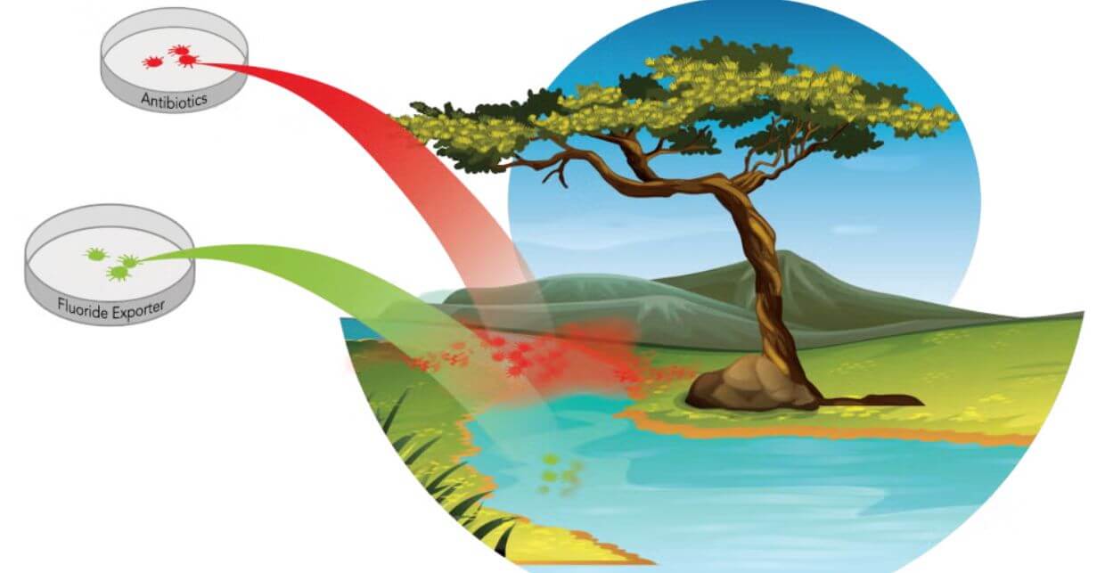 Graphic of a river alongside plate images